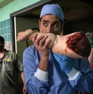 TheHandbts2.jpg (66 kB)