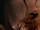S2022-CutAbdomen.png