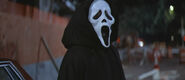 Scream2 429