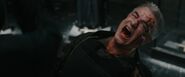 Screaming after getting stabbed numerous times