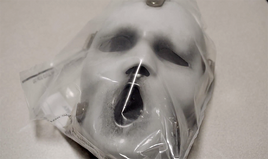 Ghostface in bag