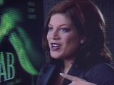 Tori Spelling (fiction)