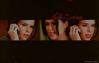 Sidney prescott scream wall2 by brighteyesgal-d37firx.png