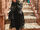 Amber Freeman/Gallery