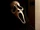 GhostfaceIcon.jpg