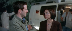 S2-CiciDiscovery-14