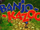 Banjo-Kazooie.gif