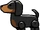 Dachshund