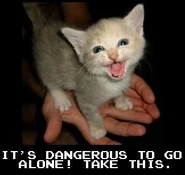 The original "It's Dangerous to go Alone" meme featuring a kitten (without the embedded virus)