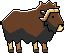 Musk Ox