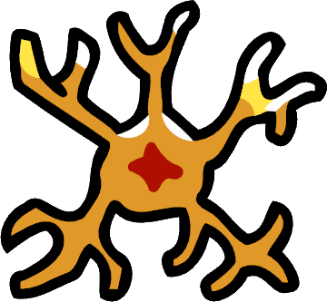 Basket star - Wikipedia