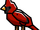 Cardinal (Bird)