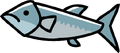 Barracuda