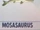Mosasaurus