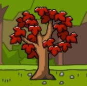 Maple Tree