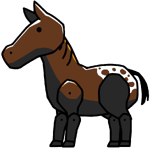 Appaloosa