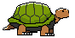 Galapagos Turtle