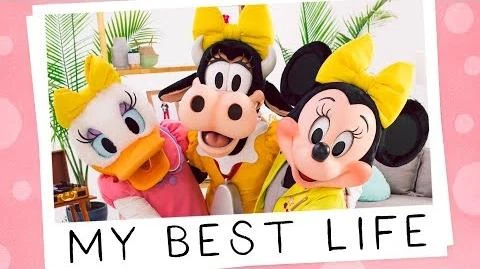 minnie mouse toy videos