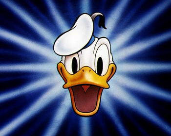 Donald Duck | Scrooge McDuck Wikia | Fandom Donald Duck | Scrooge McDuck Wikia | Fandom