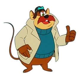 Monterey Jack 2017 b