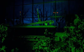 Coffin Occupant in 2015 by Disney Photoblography