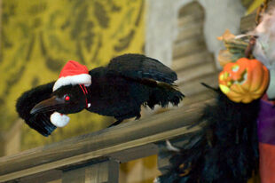 Edgar the Raven in the holiday overlay, found in the Ballroom wearing a Santa Claus hat. (In all his usual spots, he is replaced by Scary Teddy.)