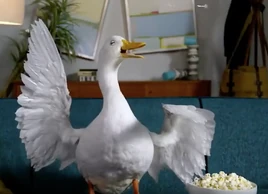 Aflac Duck