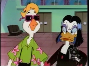 Vacation Van Honk about to bump into Magica De Spell at the Duckburg airport.