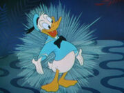 Donald Duck en dessin animé