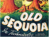 Old Sequoia