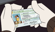 Launchpad's driver's license