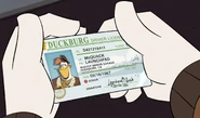 Launchpad's driver's license.jpg (281 KB)