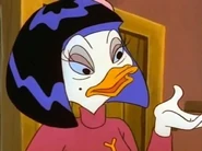 Cinnamon Teal (1 episode)
