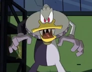 Paddywhack (1 episode)