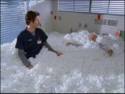 4x23 Cotton Balls