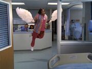 6x10 Laverne flys