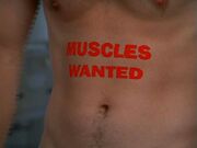 7x3 Muscles wanted