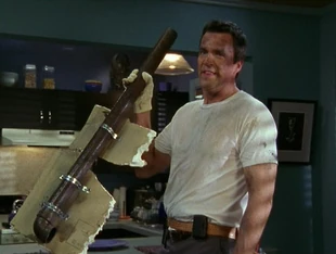 Repairman ("My Roommates")