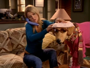 Danni dresses up Rowdy. ("My Clean Break")