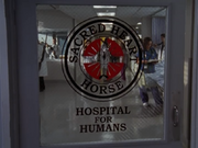 5x1 Sacred Heart Horse Hospital