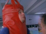 1x10punchingbag.jpg