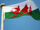 Welsh Flag.jpg