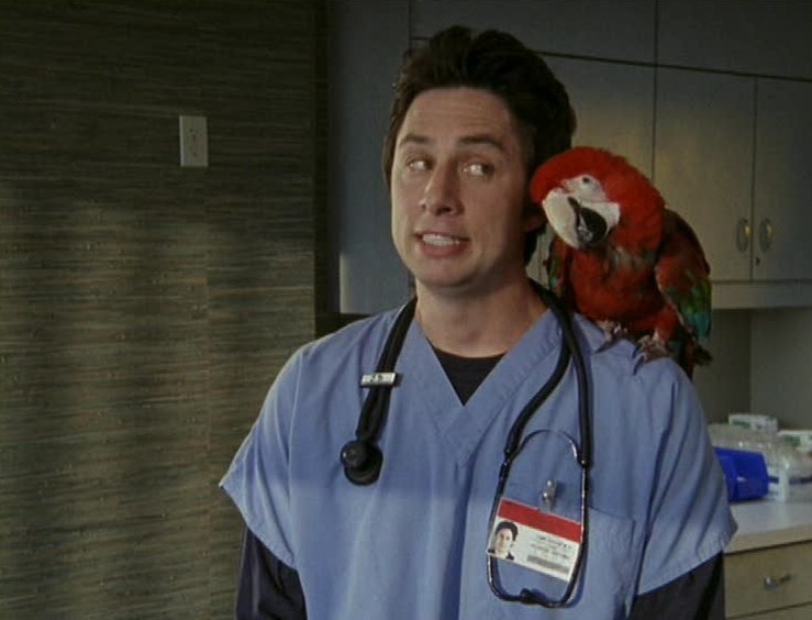 Scrubs 4