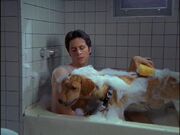 2x10 JD bathes Rowdy