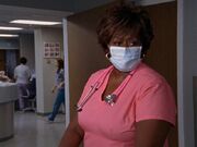 7x2 Nurse Shirley