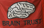 Brain Trust Flag