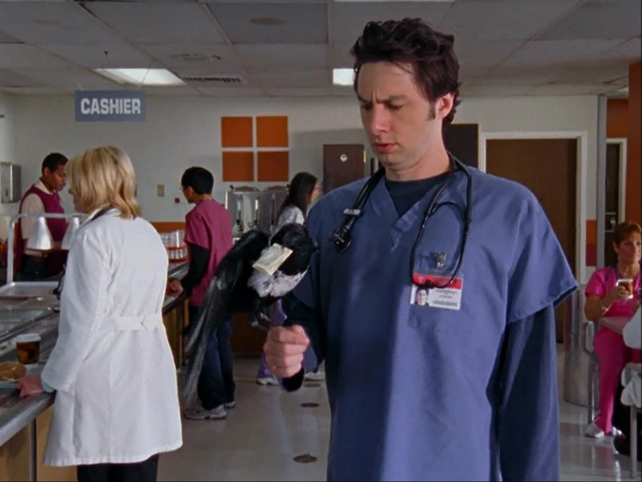 My Cabbage transcript Scrubs Wiki Fandom