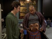 6x11 Turk with udders.jpg