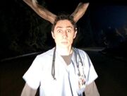 1x01JDdeerinheadlights.jpg