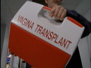 1x15VaginaTransplant